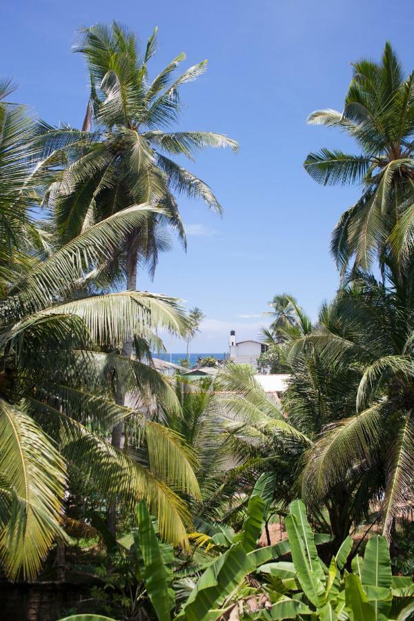 Hotel Alvas House Hikkaduwa Esterno foto