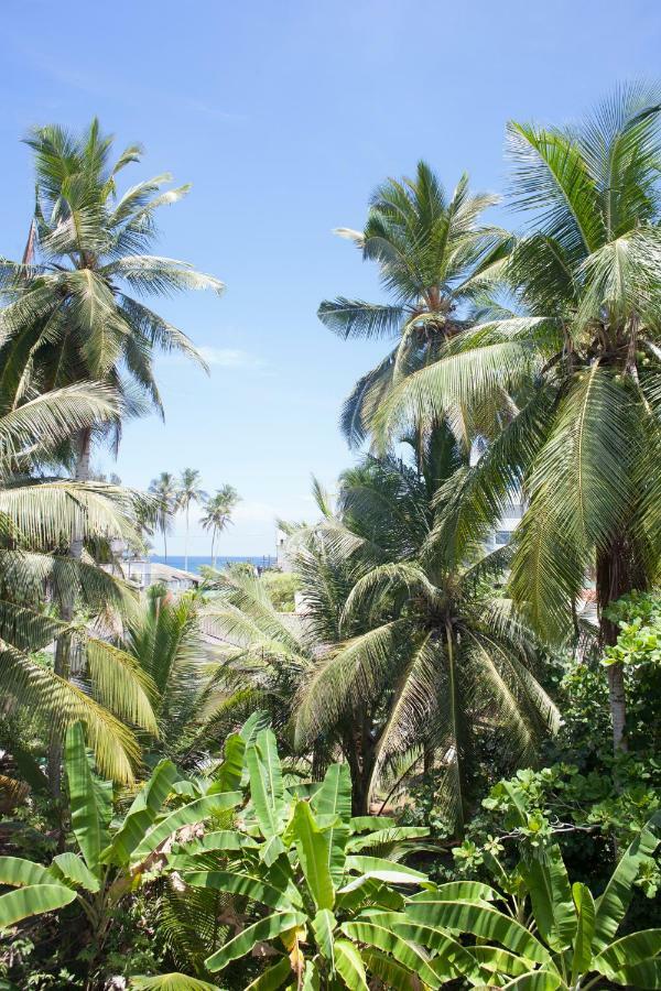 Hotel Alvas House Hikkaduwa Esterno foto